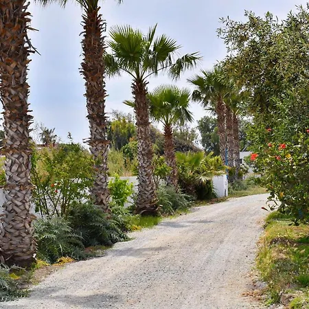 Apartamento Olympia Superior